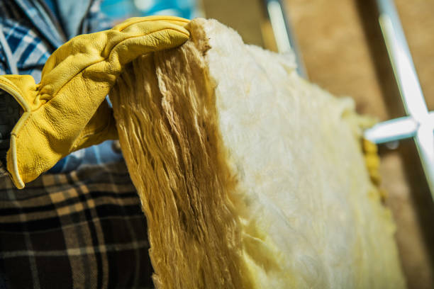 Best Insulation Maintenance and Repair in Elm City, NC