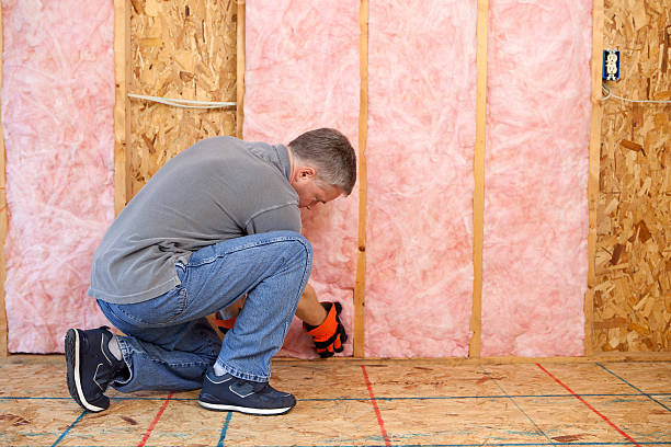 Best Blown-in Insulation in Elm City, NC