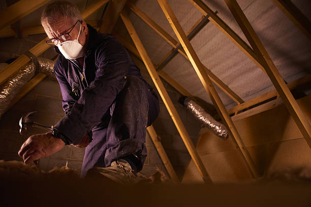Best Insulation for Specific Applications in Elm City, NC
