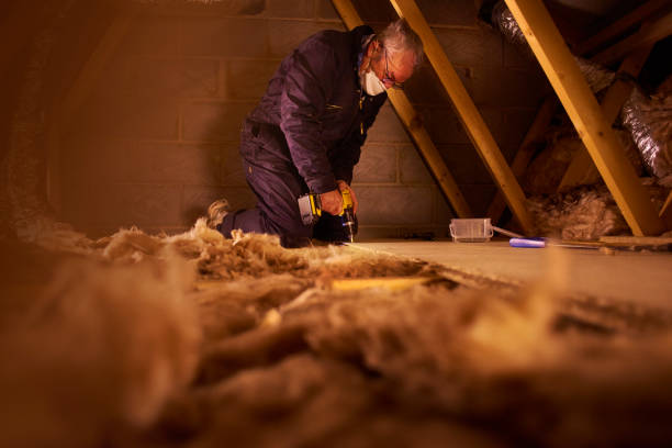 Best Spray Foam Insulation in Elm City, NC